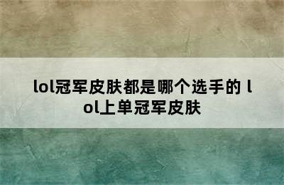 lol冠军皮肤都是哪个选手的 lol上单冠军皮肤